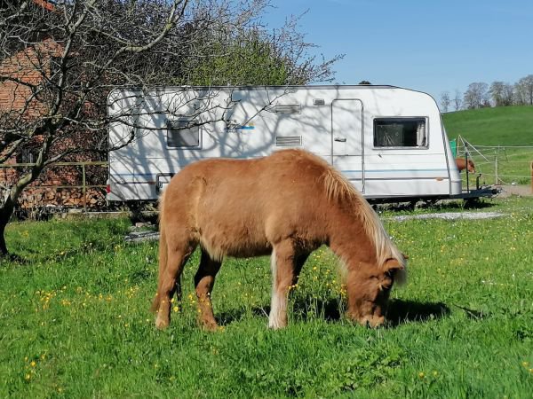 Übernachten in unserem 7-Meter-Camping-Trailer 